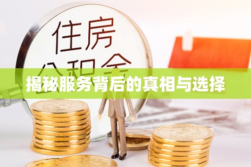 连山揭秘服务背后的真相与选择