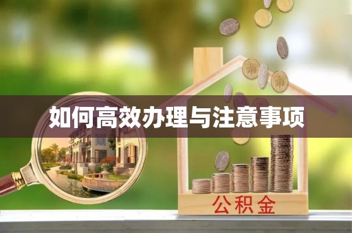 连山如何高效办理与注意事项