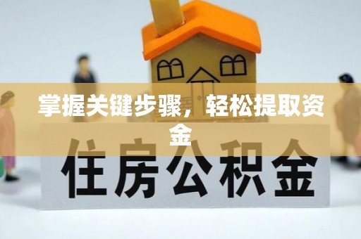 连山掌握关键步骤，轻松提取资金