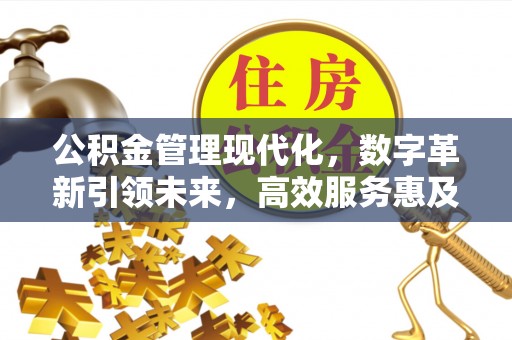 连山公积金管理现代化，数字革新引领未来，高效服务惠及民生