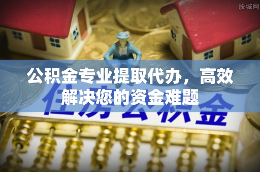 连山公积金专业提取代办，高效解决您的资金难题