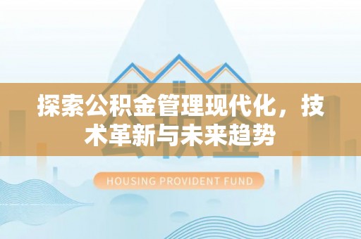 连山探索公积金管理现代化，技术革新与未来趋势