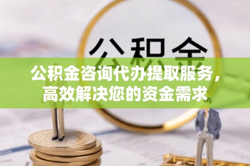 连山公积金咨询代办提取服务，高效解决您的资金需求
