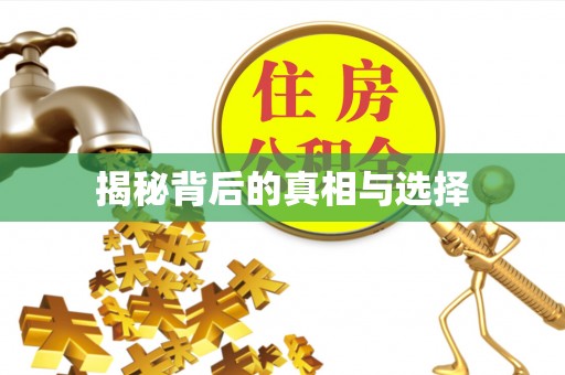 连山揭秘背后的真相与选择