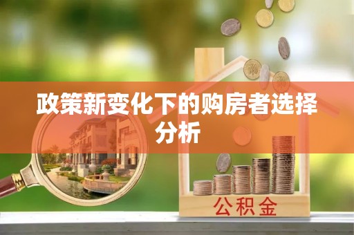 连山政策新变化下的购房者选择分析