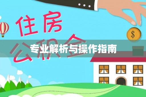 连山专业解析与操作指南