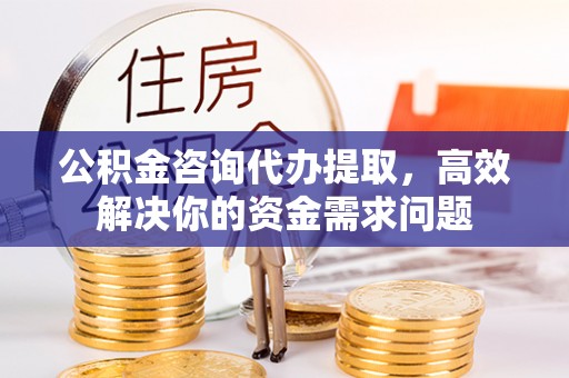 连山公积金咨询代办提取，高效解决你的资金需求问题