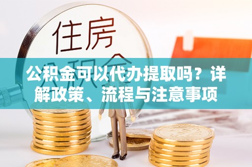 连山公积金可以代办提取吗？详解政策、流程与注意事项