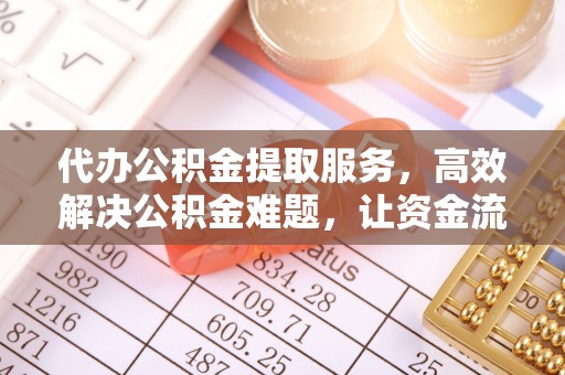 连山代办公积金提取服务，高效解决公积金难题，让资金流动更自由
