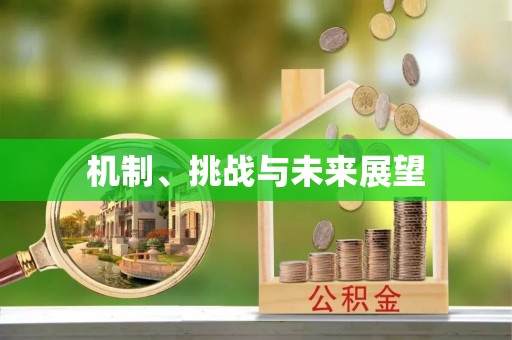 连山机制、挑战与未来展望